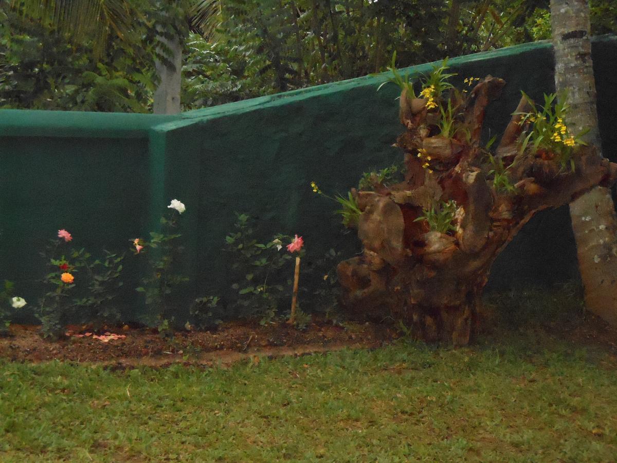 Lavender Hills Home Stay Kandy Exterior foto